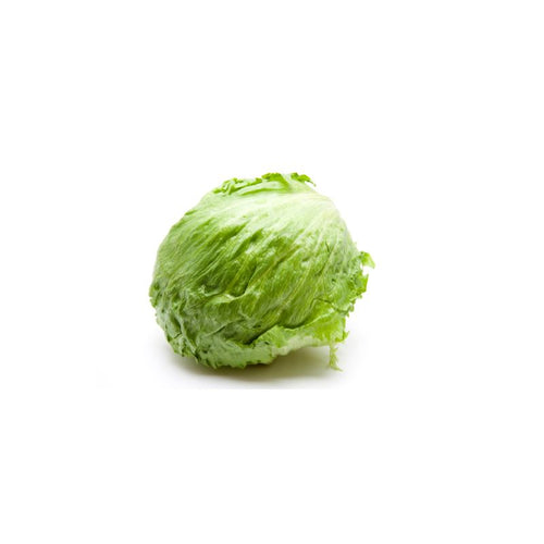 Fresh Iceberg Lettuce per piece at zucchini
